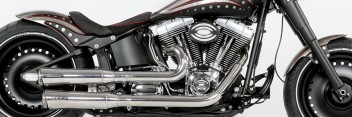 Softail, Einspritzer