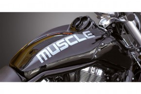 Airbox Cover "Muscle"