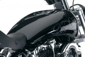 Stretch Tank for HD® gas cap